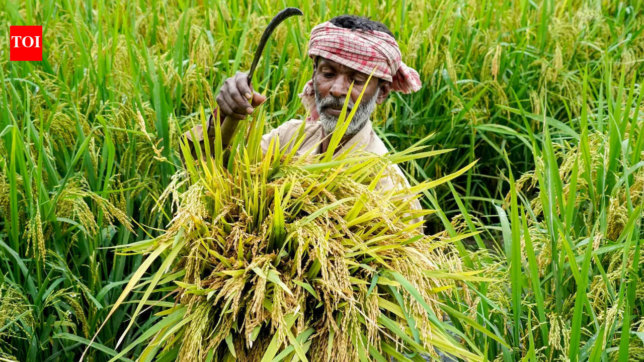 Contingency Plans for Rabi Crops: Drought Precautionary Measures Under Review
