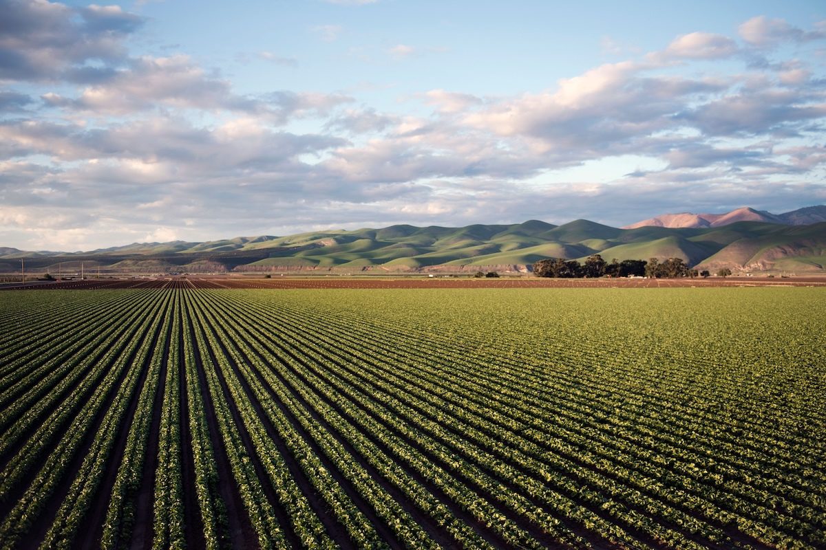 Microplastics in Agricultural Soil Act as Trojan Horse for Toxins
