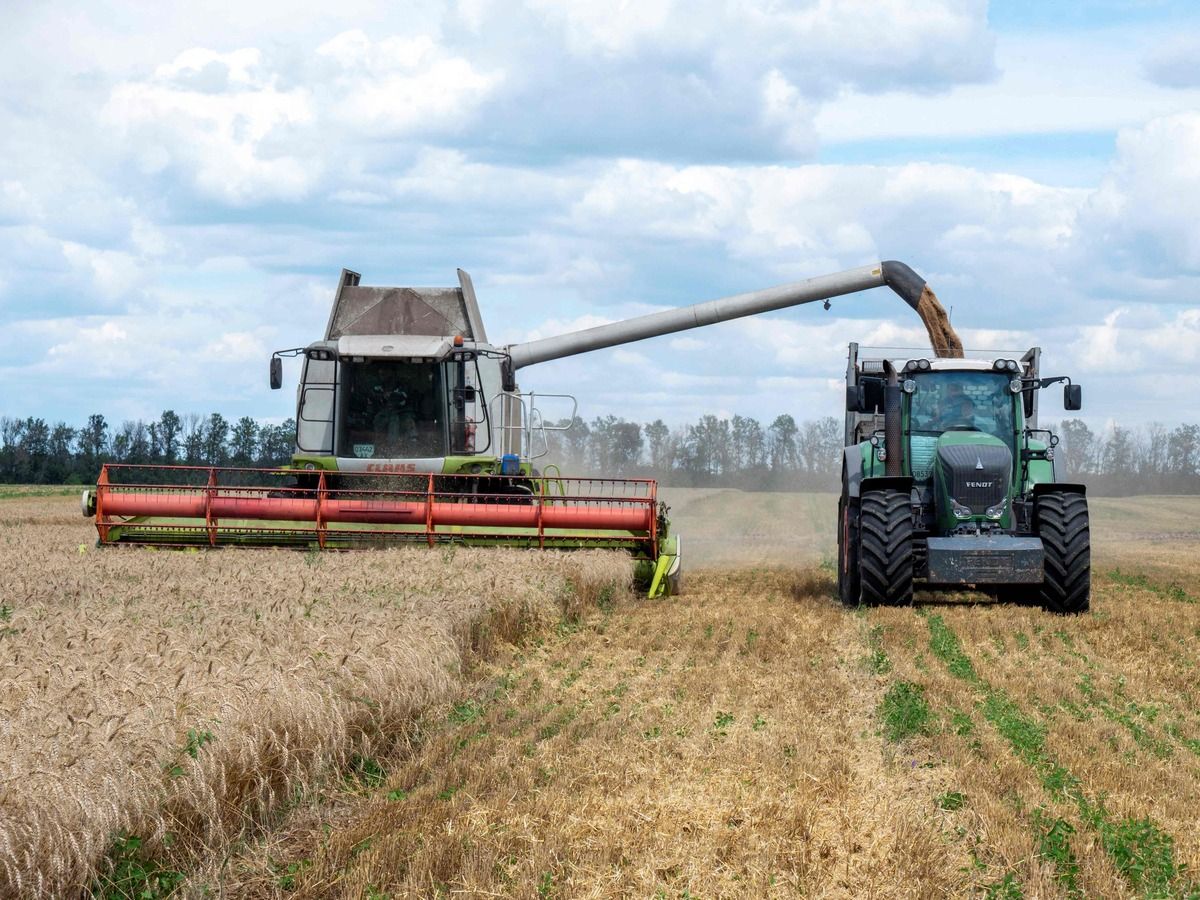 Стрімке зростання цін на агропродукцію: виклики для українських та європейських фермерів
