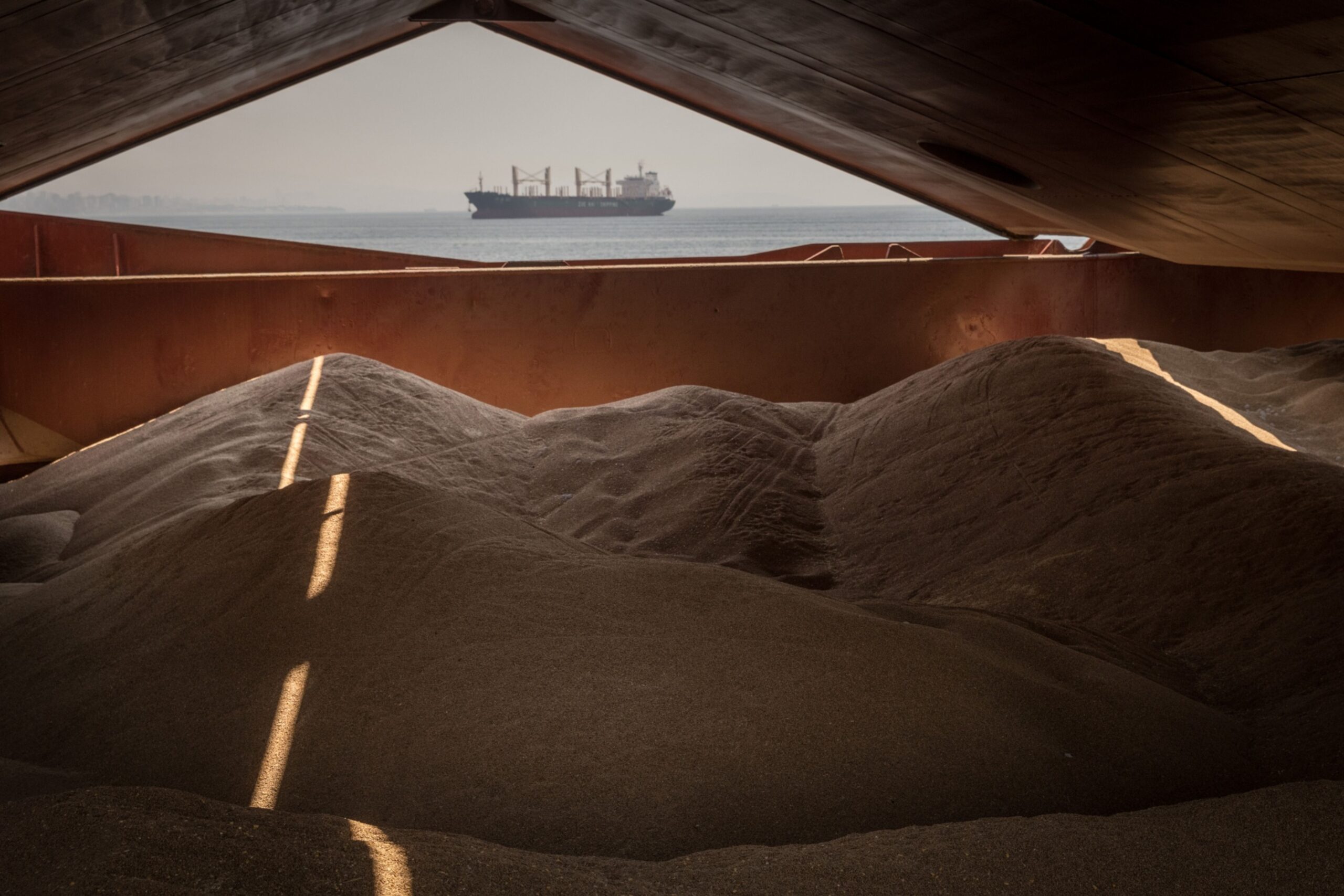 Ukraine Eyes New Ship Insurance Schemes to Revive Seaborne Agricultural Exports
