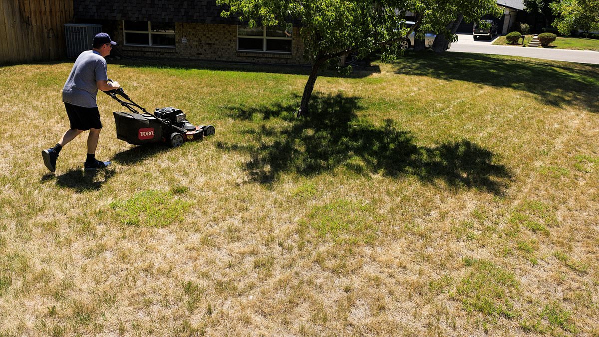 Extreme Weather Devastates Colorado Orchards and Pumpkin Patches Ahead of Agritourism Season