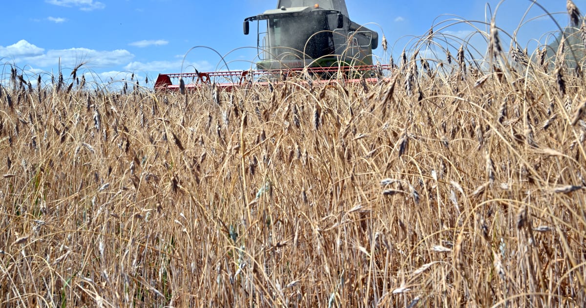 Ukraine open to Black Sea grain truce as agricultural export logistics face ongoing security risks