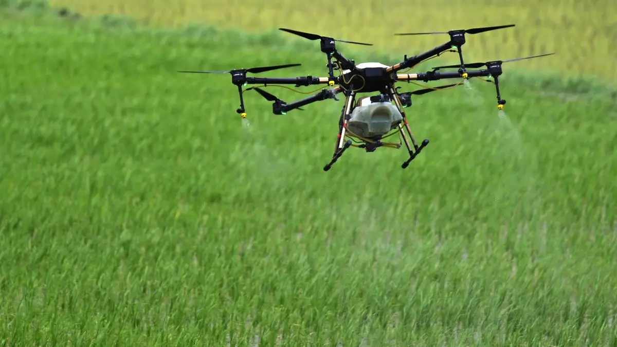 AI in Agriculture: Can European Farmers Trust Predictive Yield Models?
