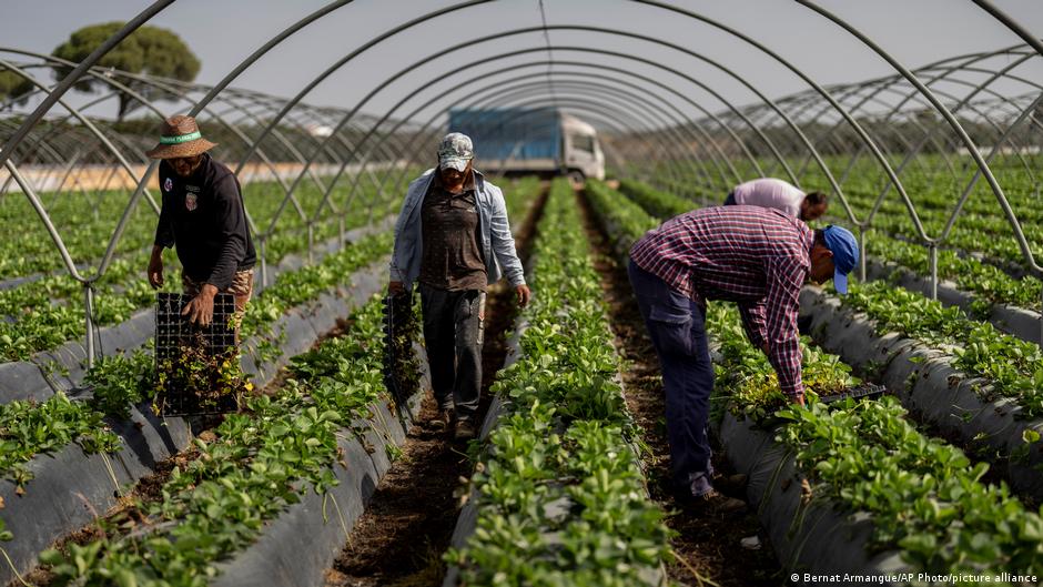 Spain's Water Crisis Threatens European Produce Supply Chains