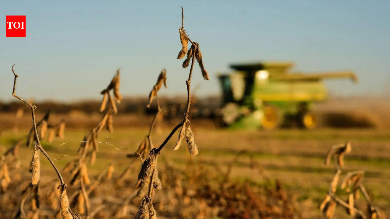 China Lowers Tariffs on US Ag Imports While Keeping Soybeans Excluded