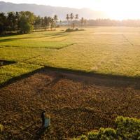 „Sehr starkes” El Niño erwartet: Auswirkungen für die europäische Landwirtschaft