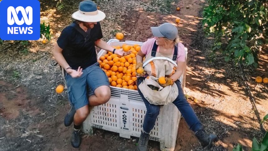 Farmers and Government Reach Deal on Backpacker Visa Delays