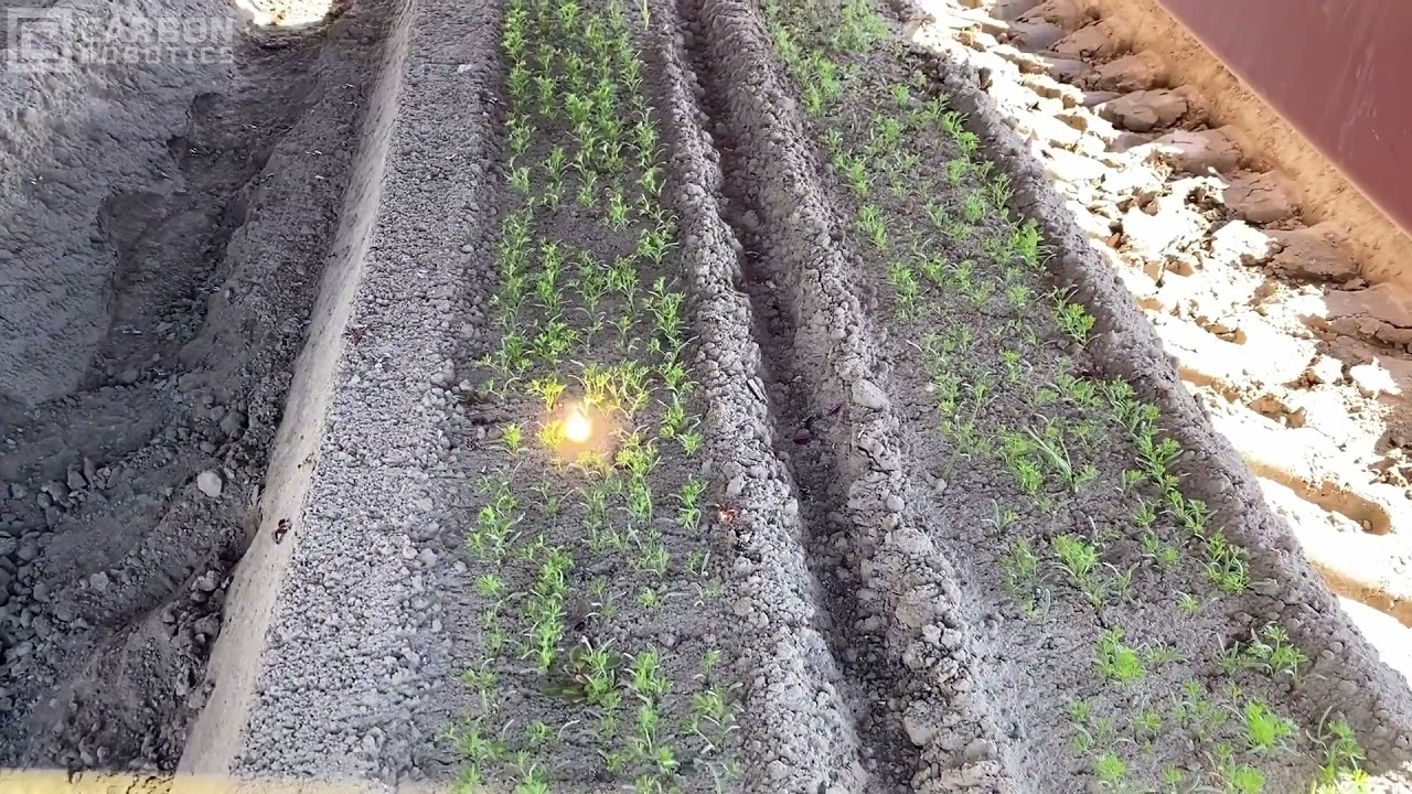 Autonomous Laser Weeders: A New Era for Crop Protection