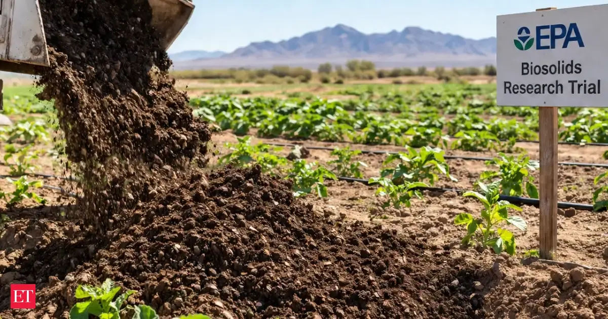 Biosolide: Düngerkosten auf Sandböden effizient senken