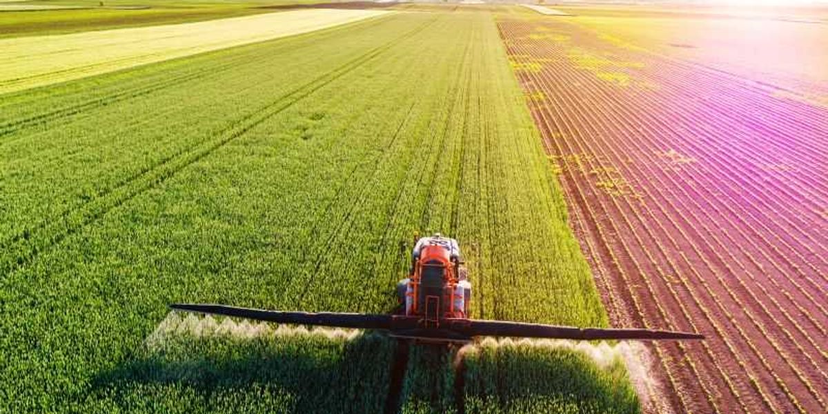 US Input Cost Pressures Echo Global Agricultural Challenges