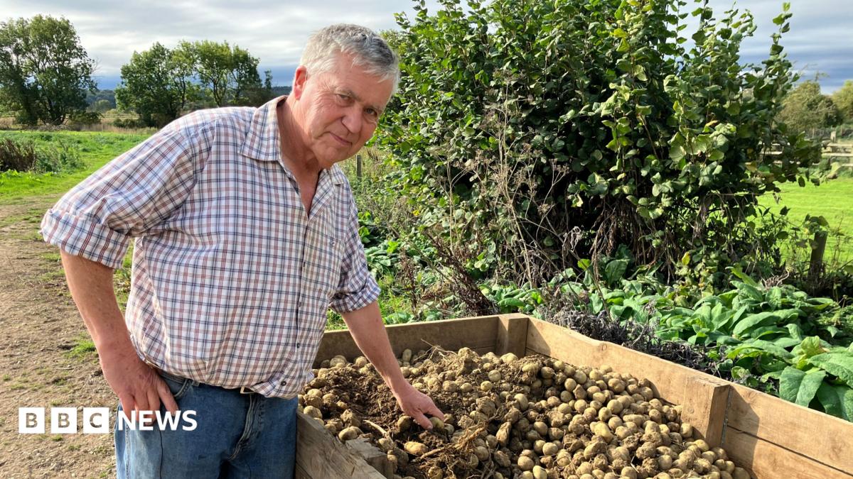 Heatwaves and Drought Shrink British Potato Harvests, Sparking Food Security Worries