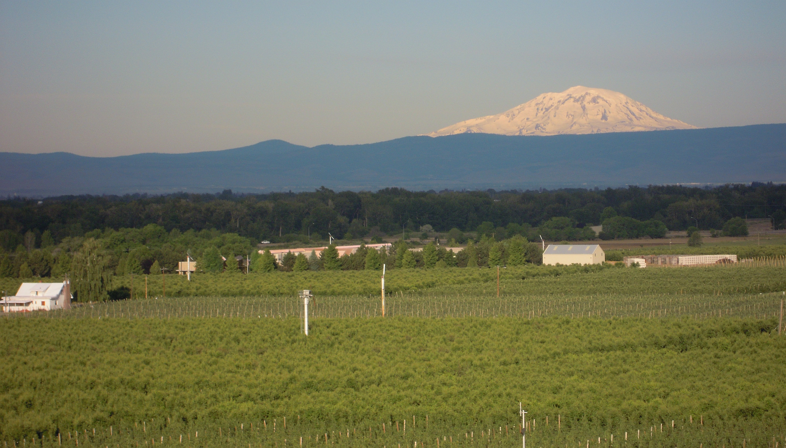Reservoir Farms Expands into Pacific Northwest to Scale Physical AI in Orchards and Berries
