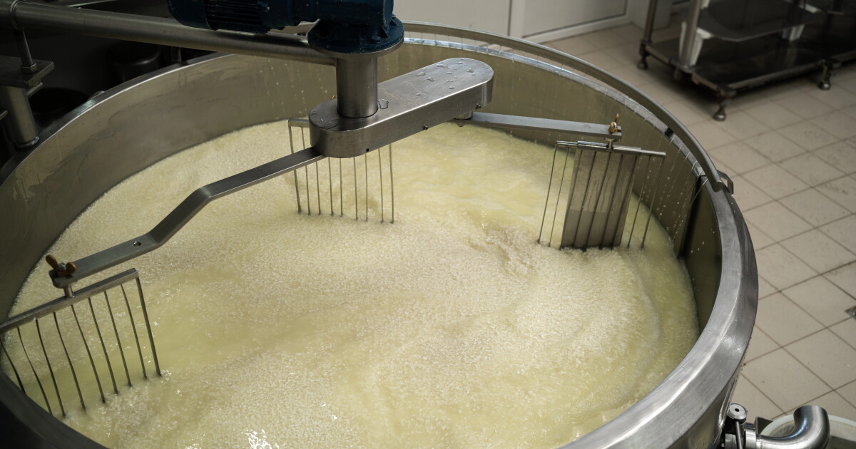 Dairy processing by-products emerge as potential biofuel source