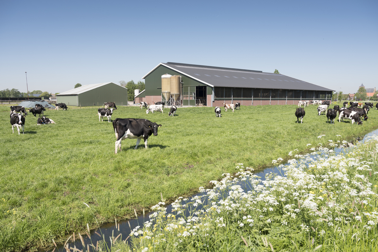 EU Aims to Fast-Track Agri-Research to Farms Amid Budget Tightening
